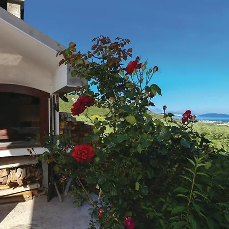 Vakantiehuis Amazing In *