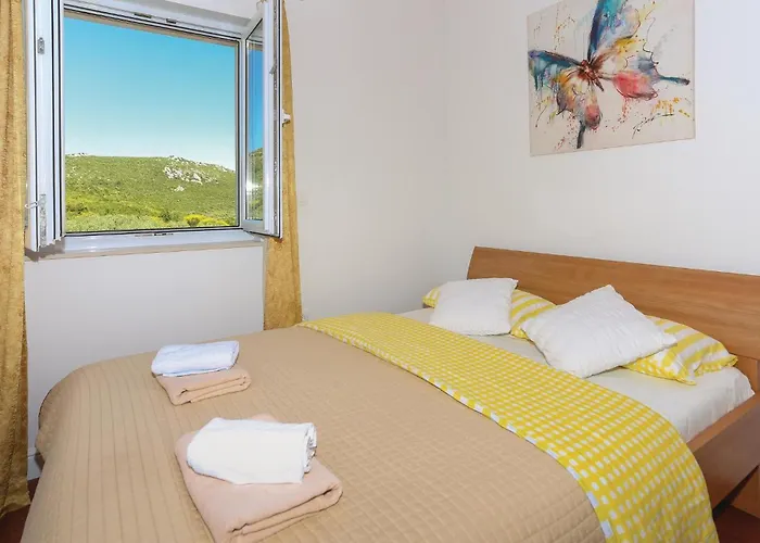 Amazing In Tatil Evi